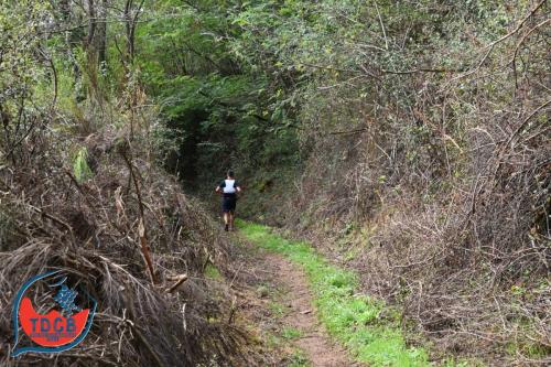 MaraTour Des Crus - Trail 42km - 28/09/2025