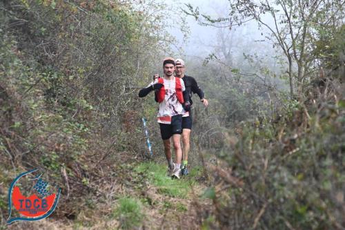 MaraTour Des Crus - Trail 42km - 28/09/2025