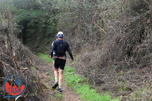 MaraTour Des Crus - Trail 42km - 28/09/2025