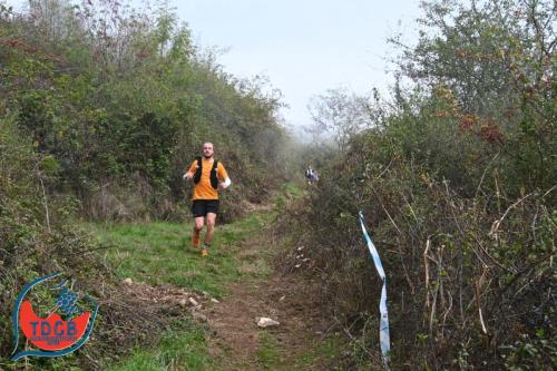 MaraTour Des Crus - Trail 42km - 28/09/2025