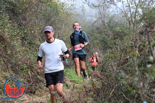 MaraTour Des Crus - Trail 42km - 28/09/2025
