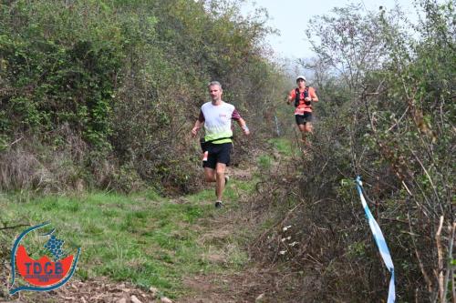 MaraTour Des Crus - Trail 42km - 28/09/2025