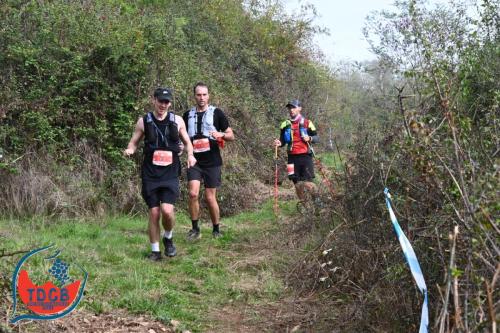 MaraTour Des Crus - Trail 42km - 28/09/2025