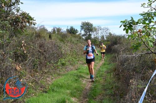 MaraTour Des Crus - Trail 42km - 28/09/2025