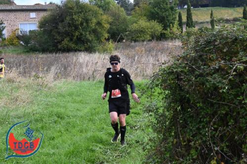 MaraTour Des Crus - Trail 42km - 28/09/2025