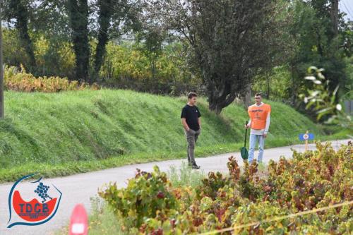 MaraTour Des Crus - Trail 42km - 28/09/2025