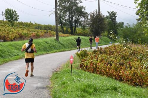 MaraTour Des Crus - Trail 42km - 28/09/2025