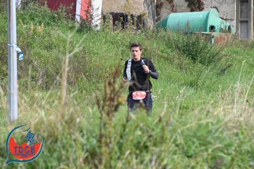 MaraTour Des Crus - Trail 42km - 28/09/2025